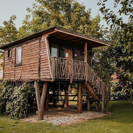 Treehouse Drevesna Hiska Strkovo Gnezdo Ranc Jures Hotel Ljutomer Buitenkant foto