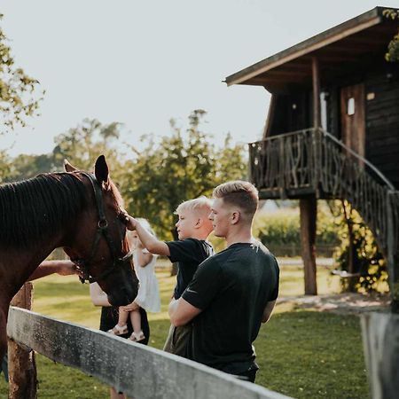 Treehouse Drevesna Hiska Strkovo Gnezdo Ranc Jures Hotel Ljutomer Buitenkant foto