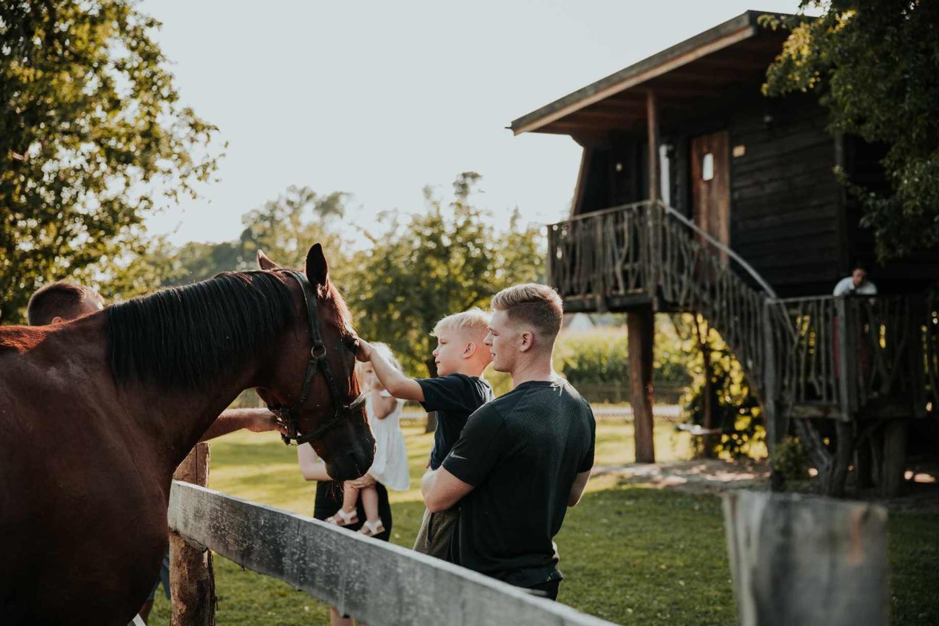 Treehouse Drevesna Hiska Strkovo Gnezdo Ranc Jures Hotel Ljutomer Buitenkant foto