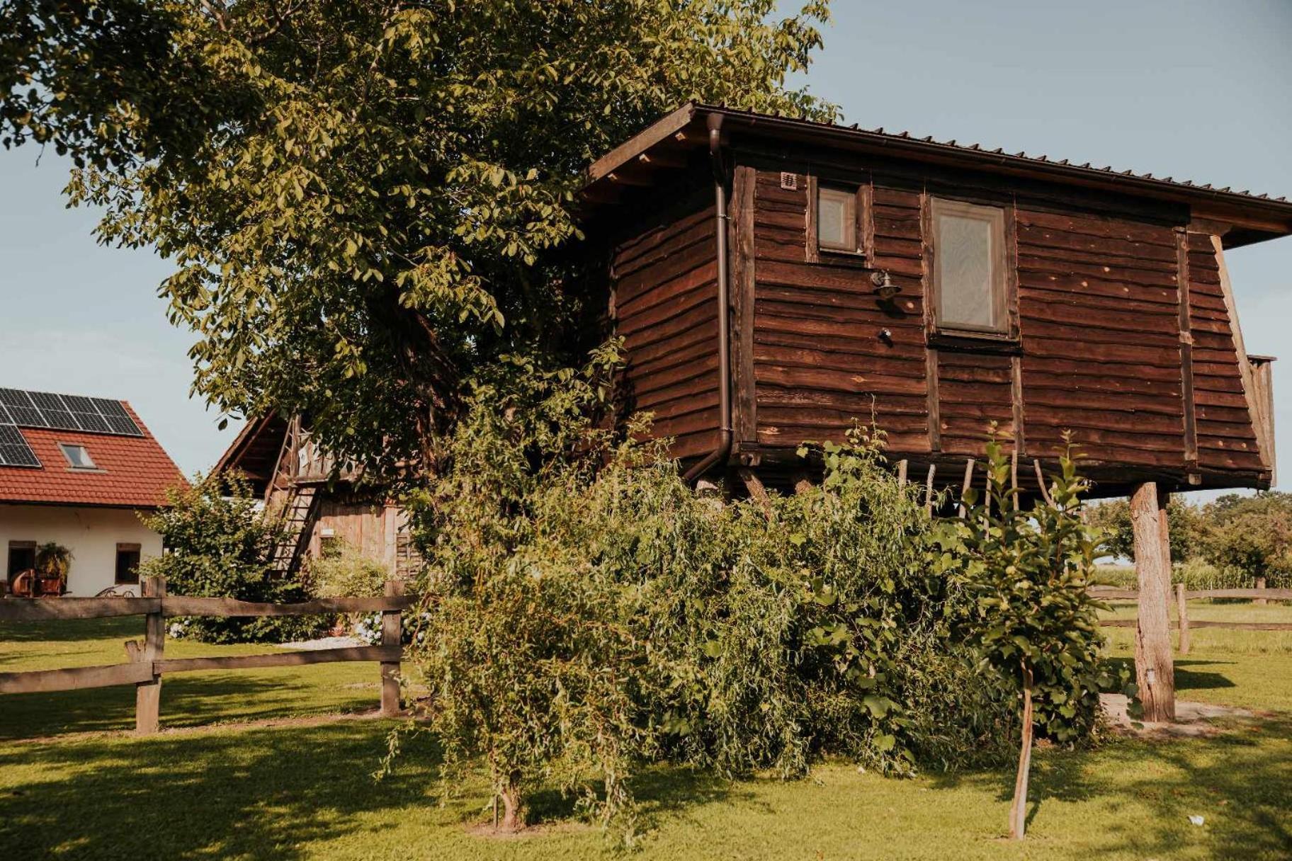 Treehouse Drevesna Hiska Strkovo Gnezdo Ranc Jures Hotel Ljutomer Buitenkant foto
