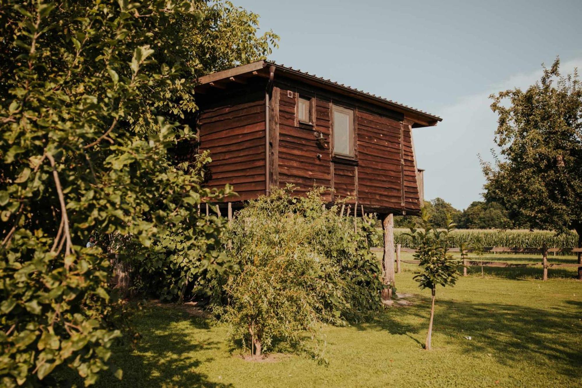 Treehouse Drevesna Hiska Strkovo Gnezdo Ranc Jures Hotel Ljutomer Buitenkant foto