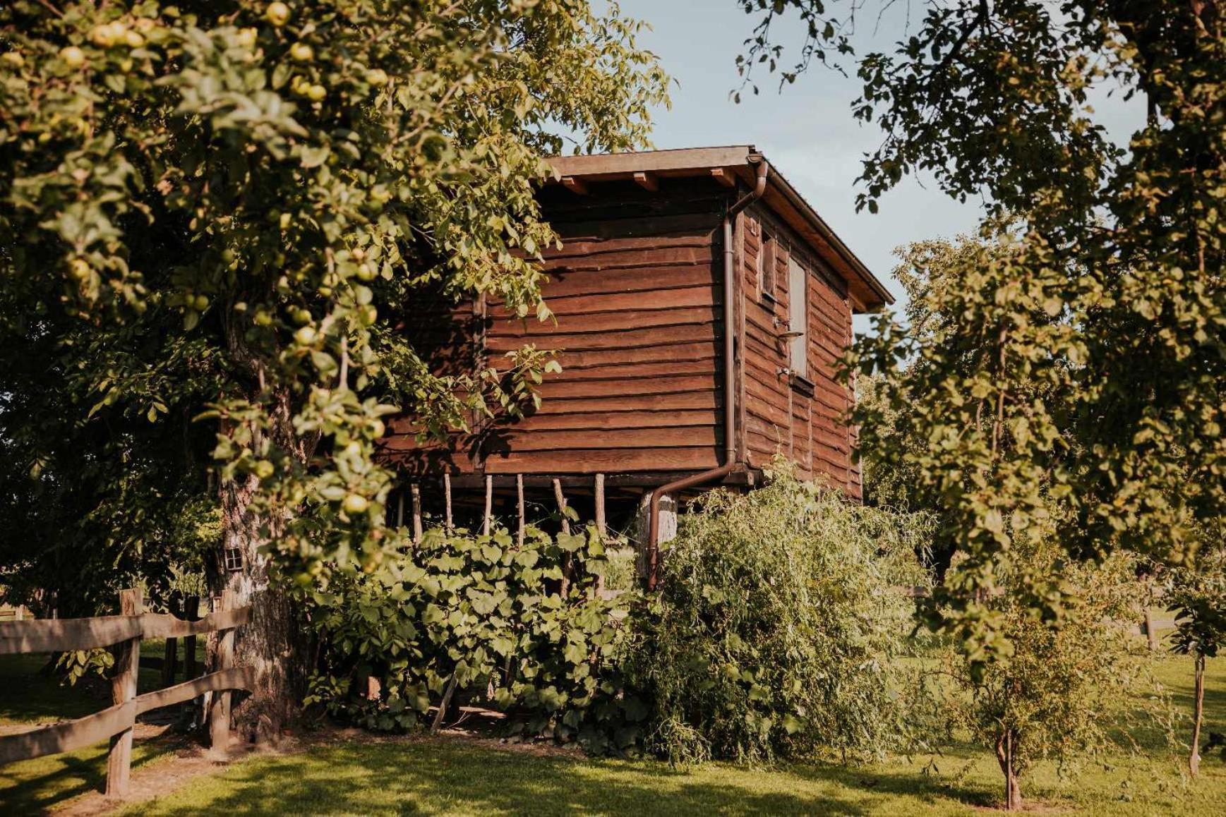 Treehouse Drevesna Hiska Strkovo Gnezdo Ranc Jures Hotel Ljutomer Buitenkant foto